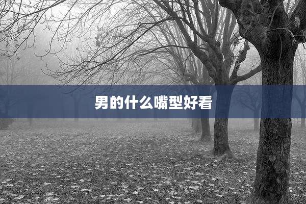 男的什么嘴型好看