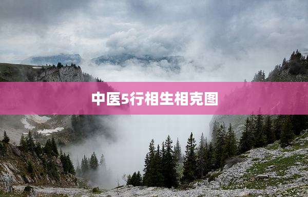 中医5行相生相克图