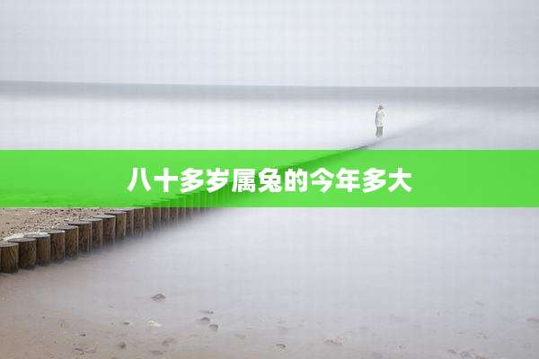 八十多岁属兔的今年多大
