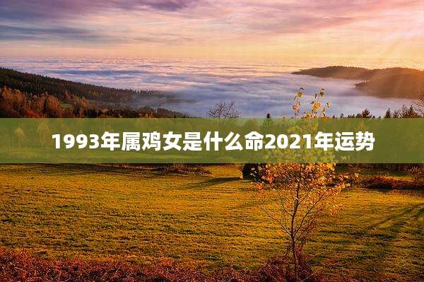 1993年属鸡女是什么命2021年运势