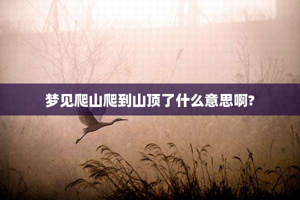 梦见爬山爬到山顶了什么意思啊?