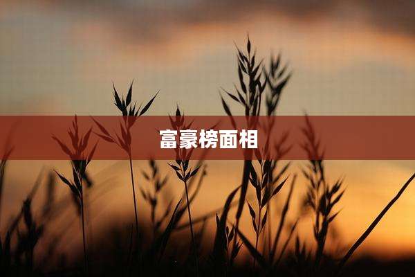 富豪榜面相