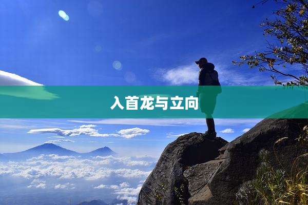 入首龙与立向
