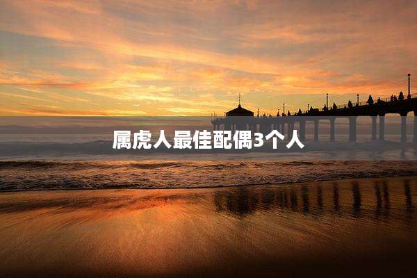 属虎人最佳配偶3个人