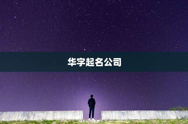 华字起名公司