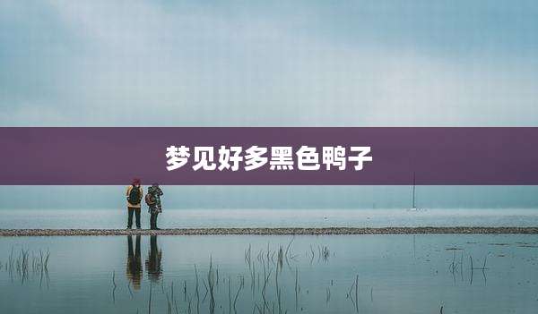 梦见好多黑色鸭子