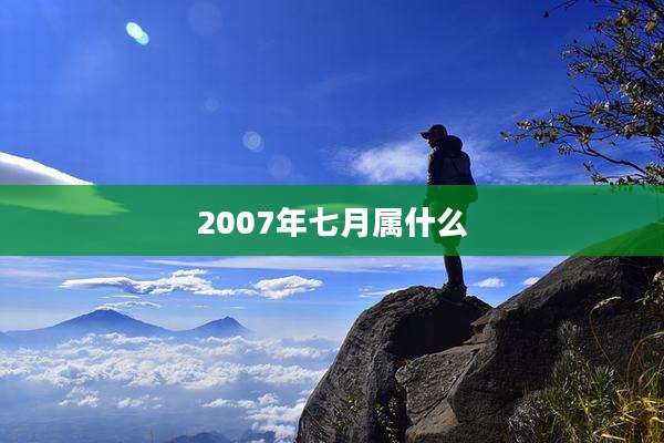 2007年七月属什么
