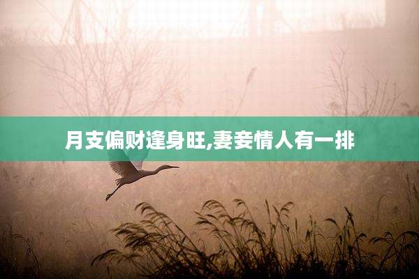 月支偏财逢身旺,妻妾情人有一排