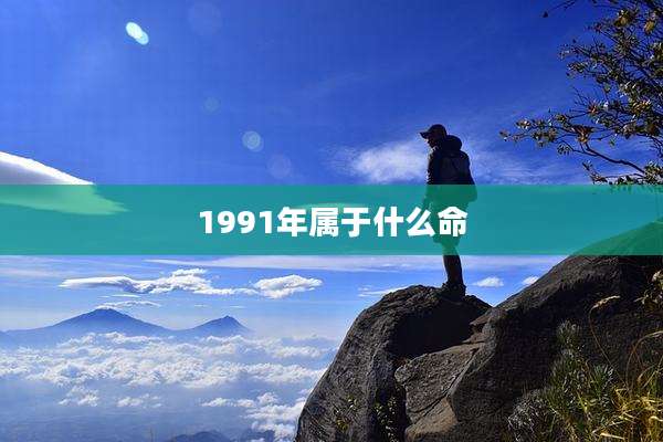 1991年属于什么命