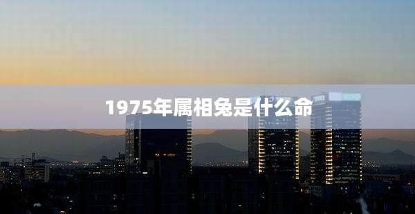 1975年属相兔是什么命