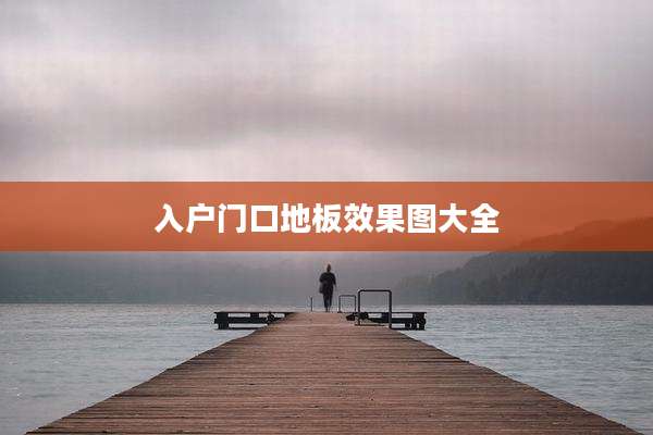 入户门口地板效果图大全