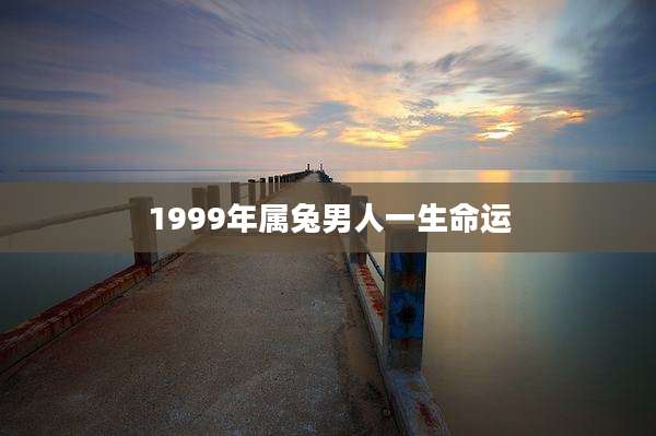 1999年属兔男人一生命运