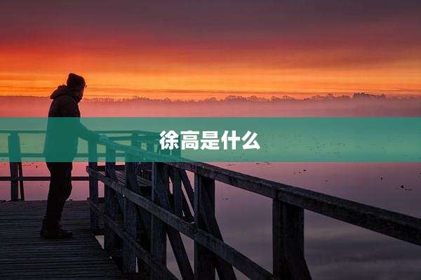 徐高是什么