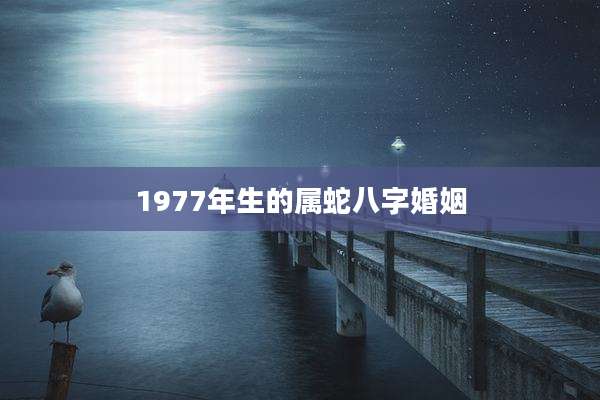 1977年生的属蛇八字婚姻