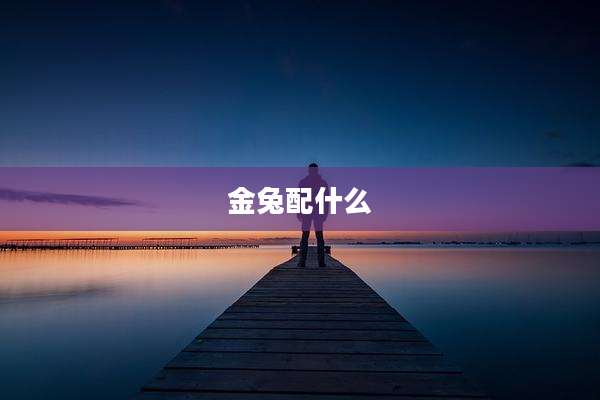 金兔配什么