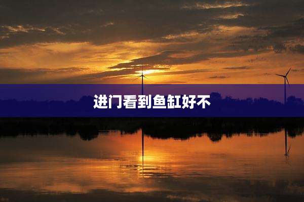 进门看到鱼缸好不