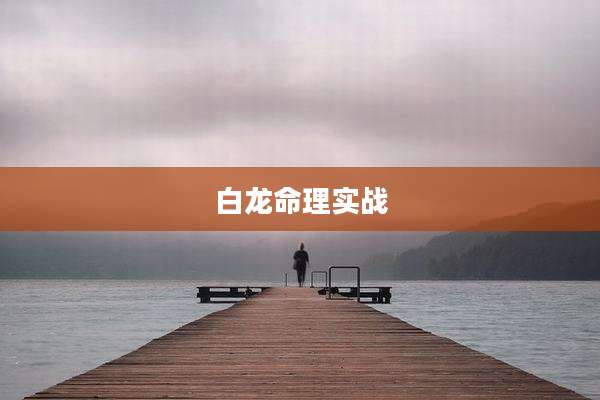 白龙命理实战