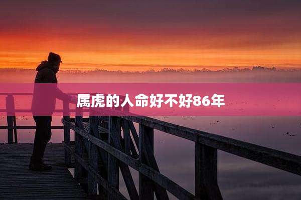 属虎的人命好不好86年