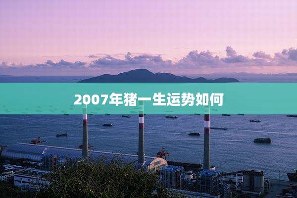 2007年猪一生运势如何