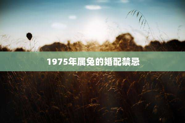 1975年属兔的婚配禁忌