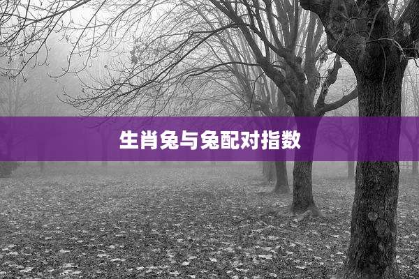 生肖兔与兔配对指数