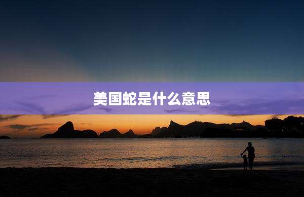 美国蛇是什么意思