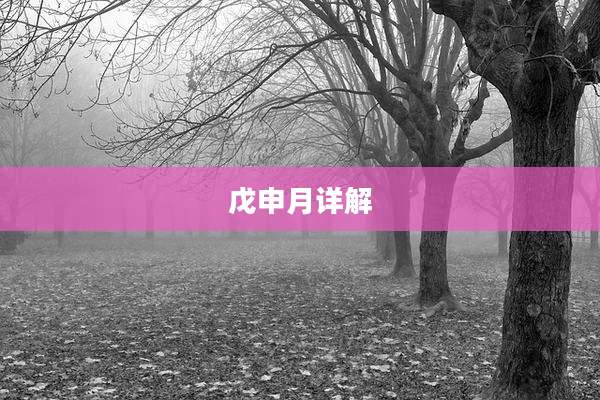 戊申月详解