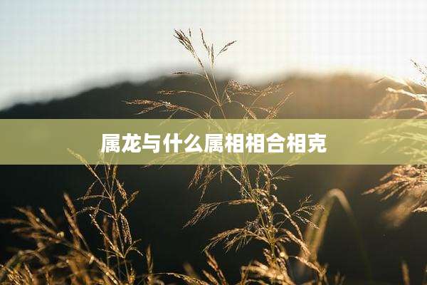 属龙与什么属相相合相克