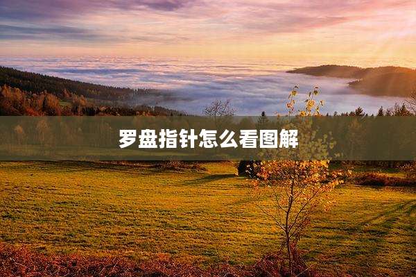 罗盘指针怎么看图解