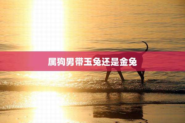 属狗男带玉兔还是金兔