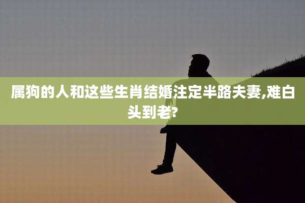属狗的人和这些生肖结婚注定半路夫妻,难白头到老?
