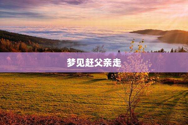 梦见赶父亲走
