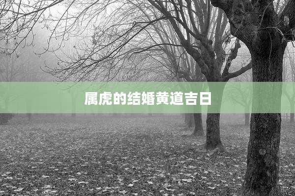 属虎的结婚黄道吉日