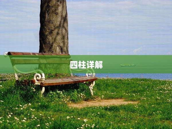 四柱详解