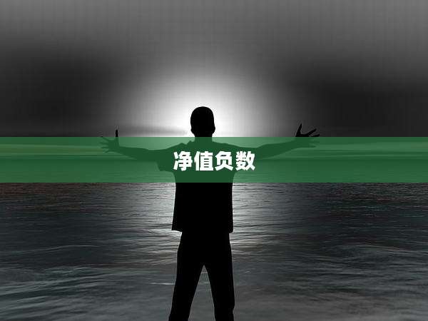 净值负数