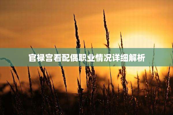 官禄宫看配偶职业情况详细解析