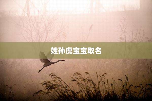 姓孙虎宝宝取名