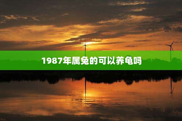 1987年属兔的可以养龟吗