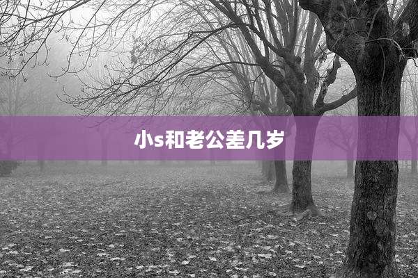 小s和老公差几岁