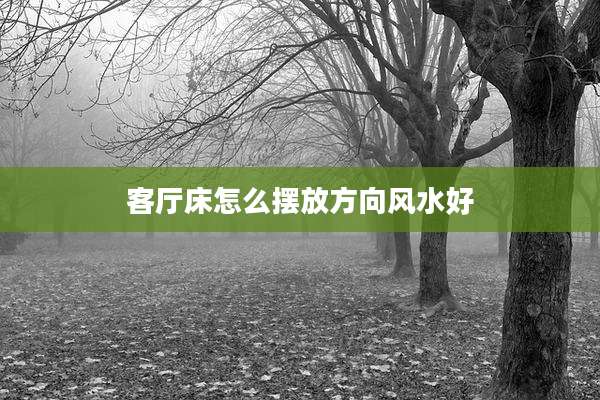 客厅床怎么摆放方向风水好