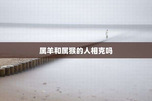 属羊和属猴的人相克吗