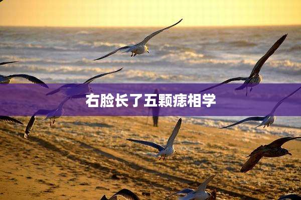 右脸长了五颗痣相学