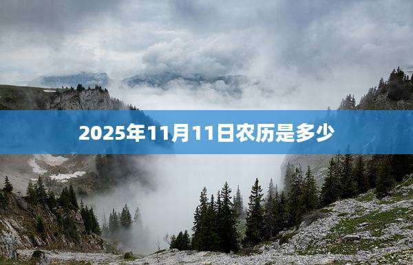 2025年11月11日农历是多少