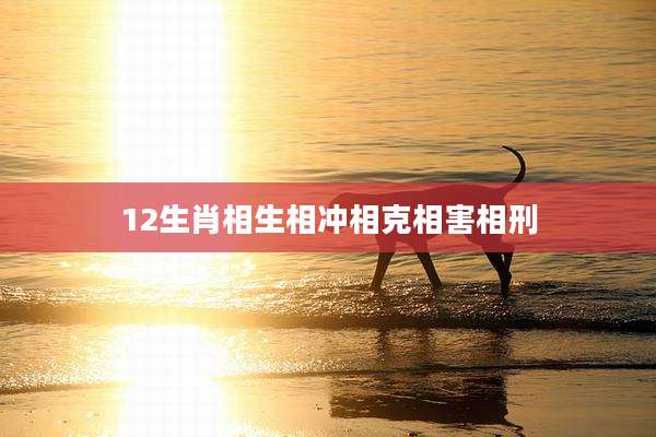 12生肖相生相冲相克相害相刑
