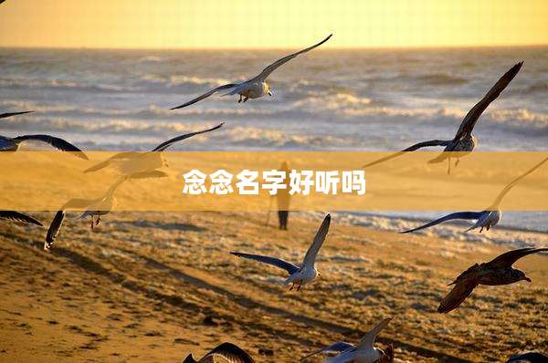 念念名字好听吗
