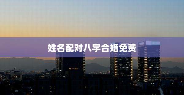 姓名配对八字合婚免费