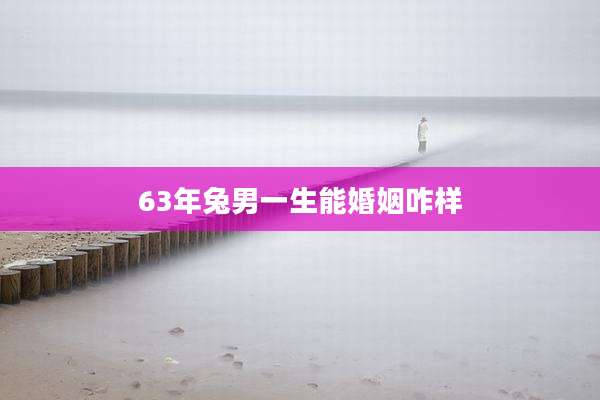 63年兔男一生能婚姻咋样
