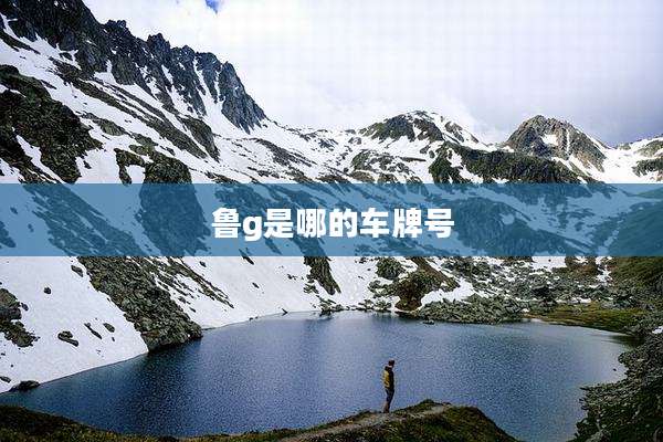 鲁g是哪的车牌号