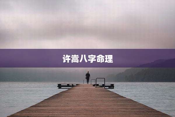 许嵩八字命理