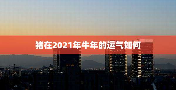 猪在2021年牛年的运气如何